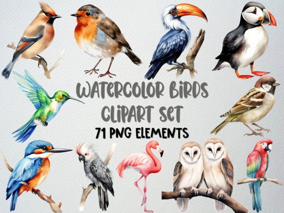 Download Watercolor Birds Clipart, Tropical Bird - Tropical bird Collection