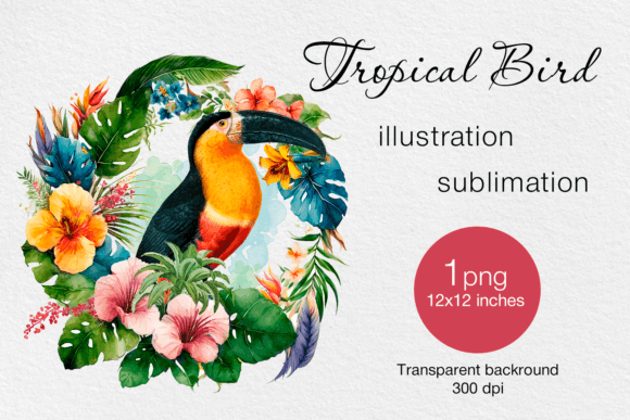 Download Tropical Bird Watercolor PNG Print - Tropical bird Collection