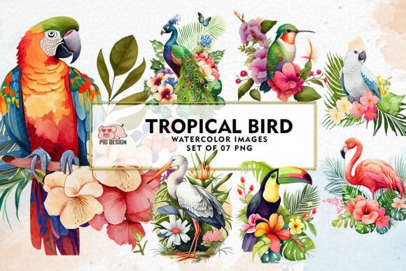 Download Tropical Bird Watercolor Sublimation - Premium Bundle