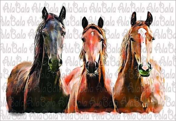Download Horses Png, Sublimation Graphics,clipart - Graphic Collection